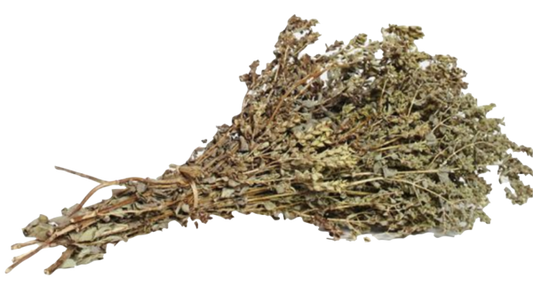 Oliveology Greek Oregano